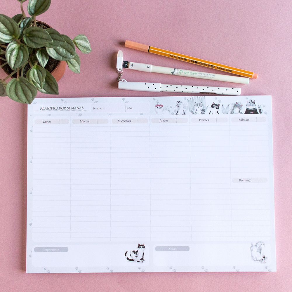 planificador semanal para apuntar lo que tienes que hacer cada día como uno de los hábitos para trabajar desde casa