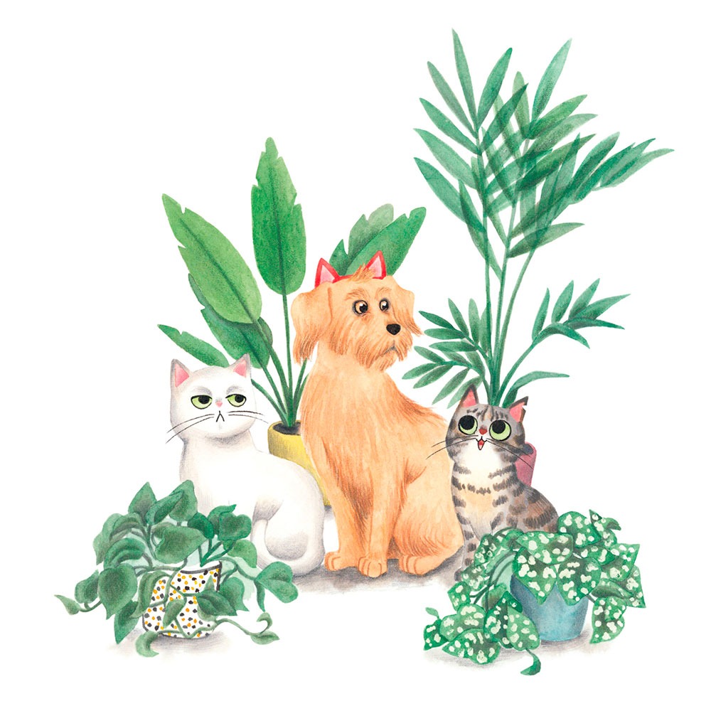 Gatos y plantas, 